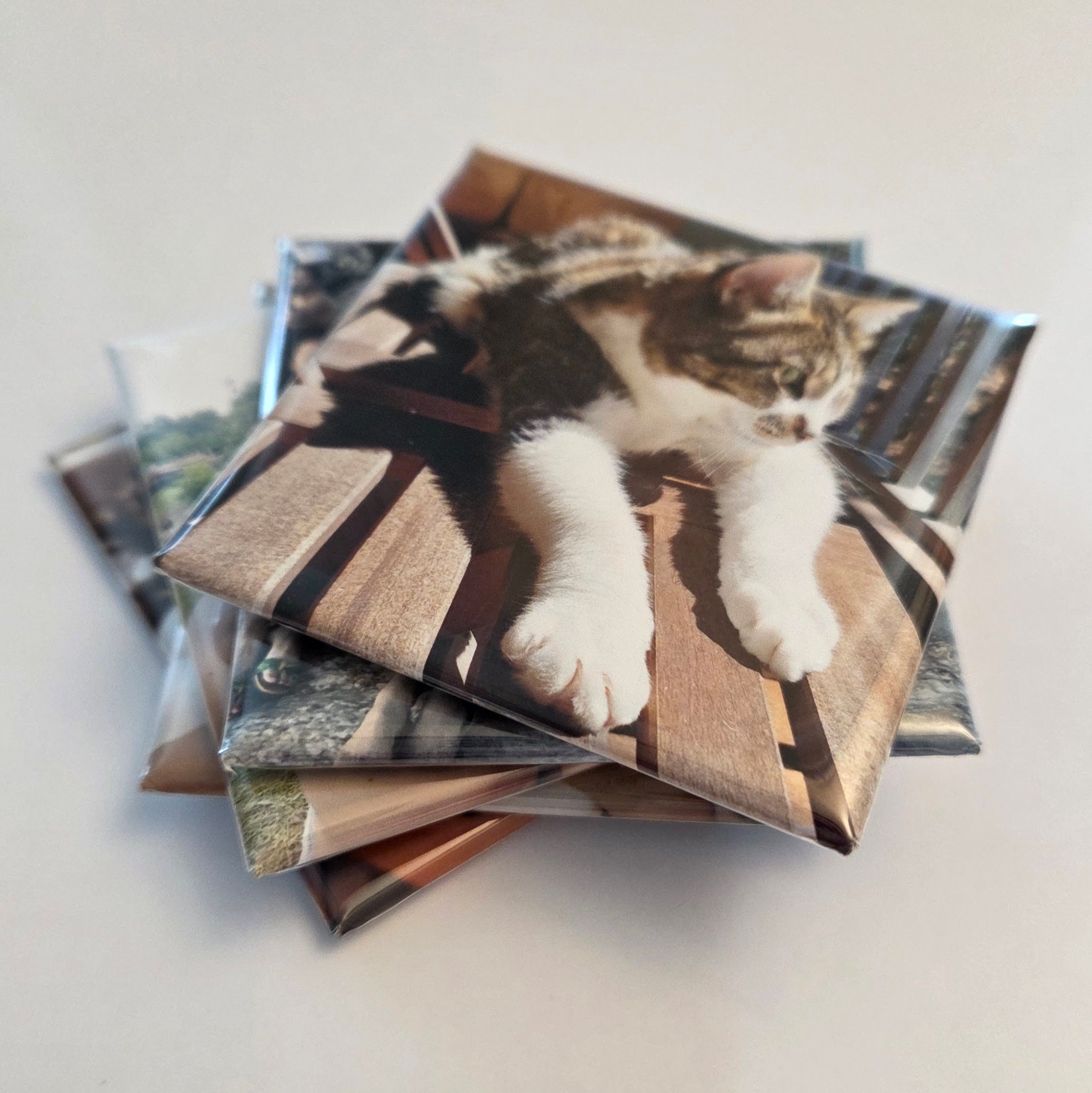 2" x 2" Custom Photo Magnet