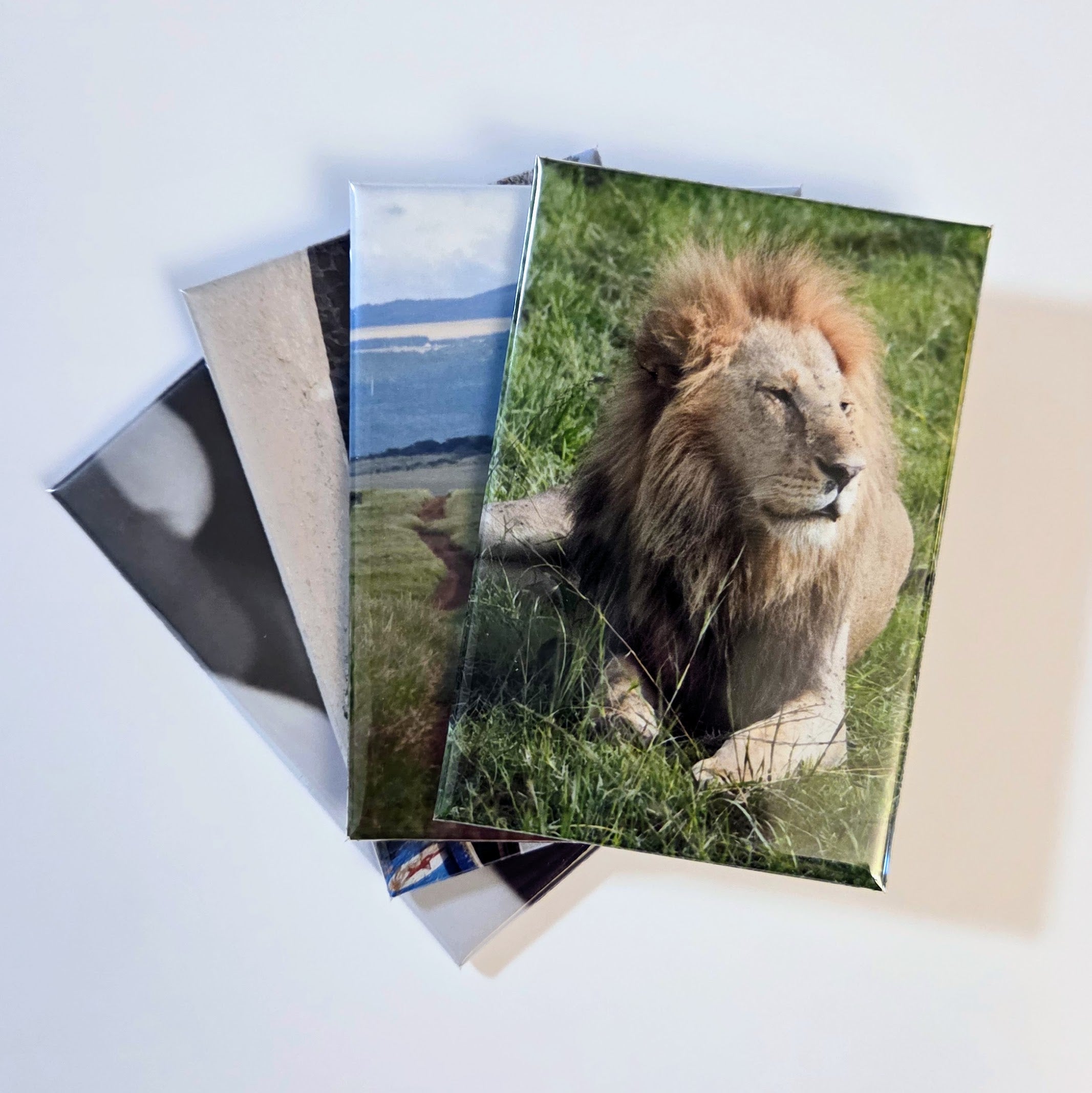 2" x 3" Custom Photo Magnet