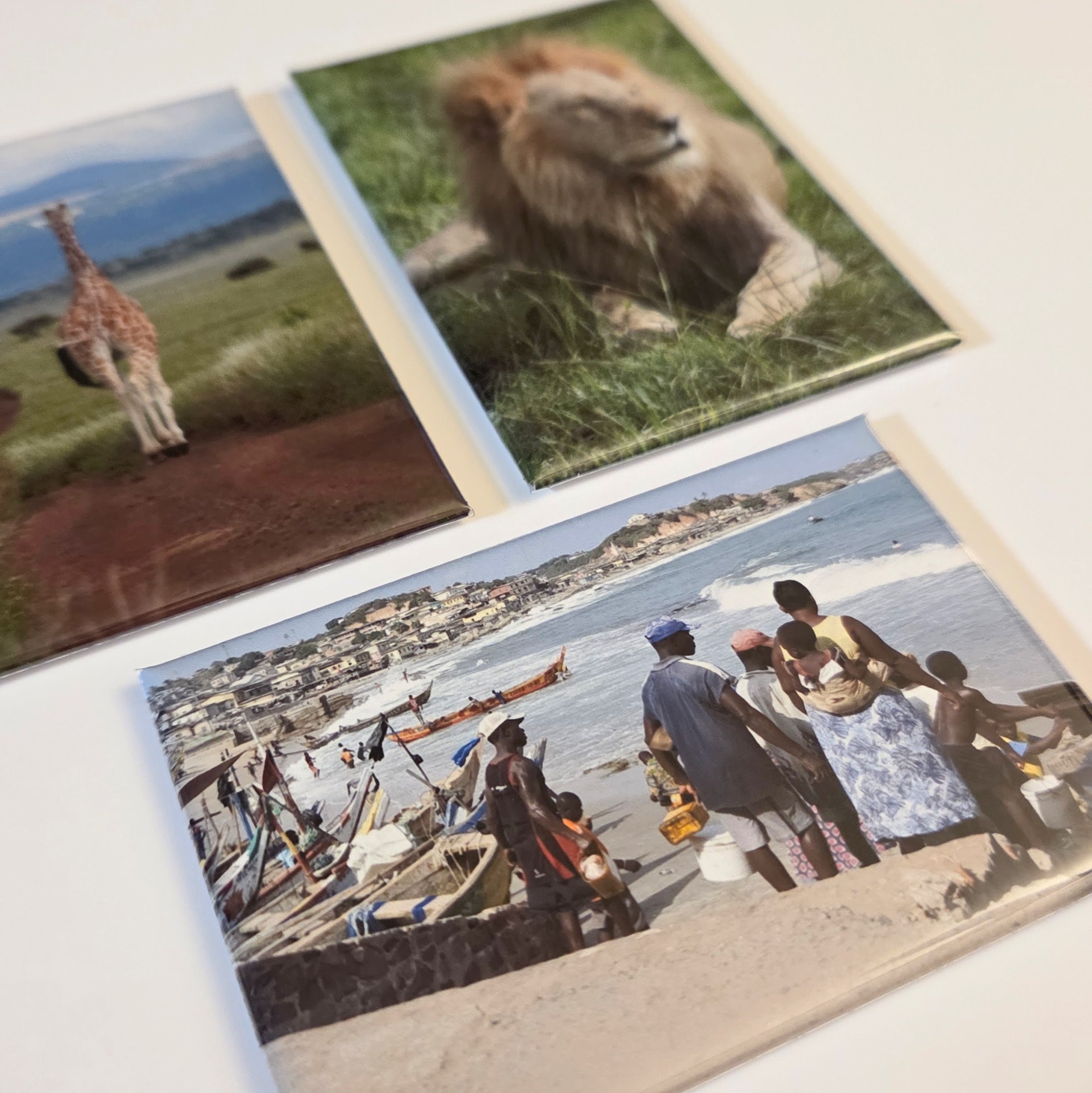 2" x 3" Custom Photo Magnet