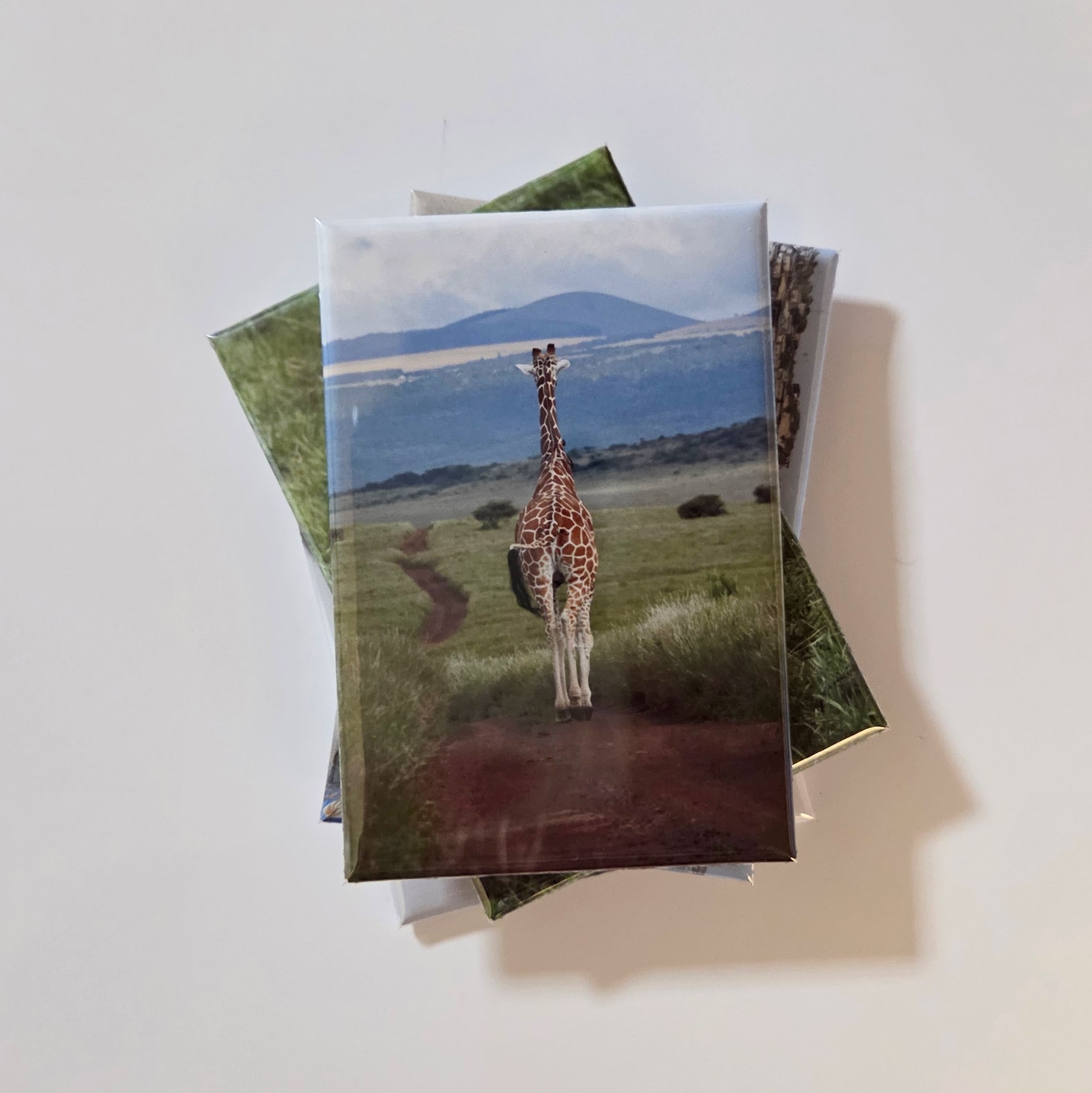 2" x 3" Custom Photo Magnet